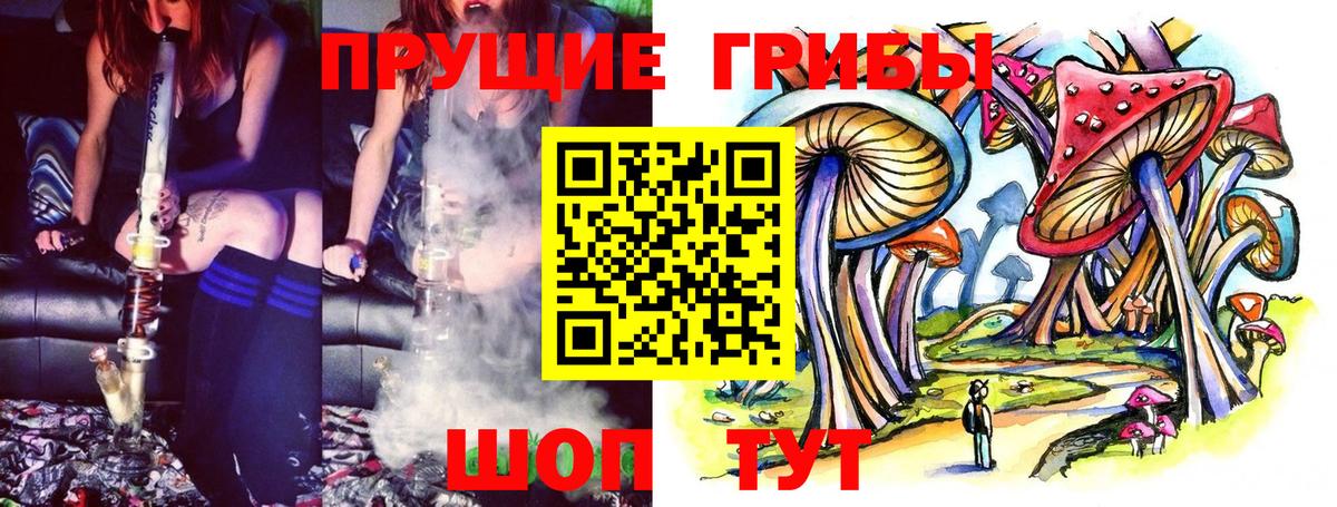 Калач-на-Дону  Галлюциногенные грибы Psilocybe  Вход с VPN 